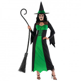 Womens Wicked Witch Costume Green 