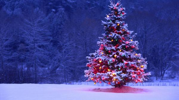 Which Christmas Movie Character Are You?