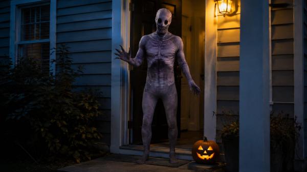 What Is The Rake Costume?