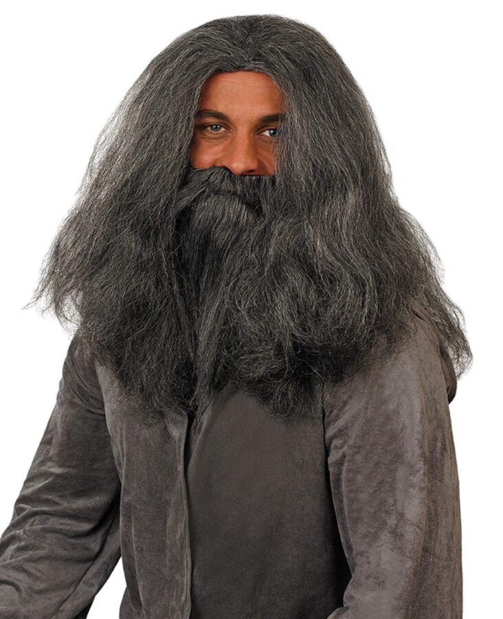 Long gray wizard wig and matching beard on elastic straps, sold as a standalone pair
