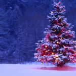 Which Christmas Movie Character Are You?